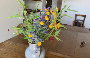 Casa Aldo nel cuore della Toscana - Foto 23