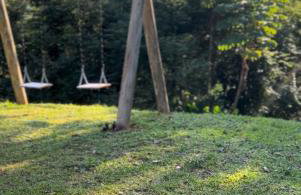 Celeiros Herzland - Foto 7