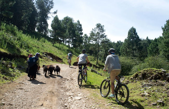 Mountainbike-Tour: Indigenes Dorf in Chiapas und Berg - Foto 1