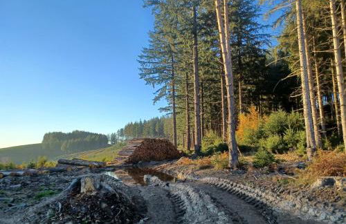 appartement dans maison, calme assuré - Foto 13