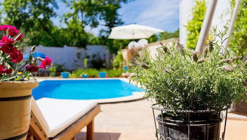 Villa Kažun with private pool and two gardens - Foto 2