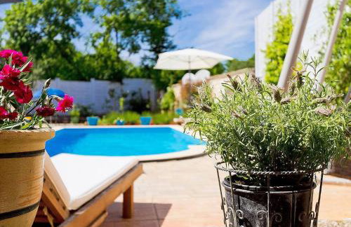 Villa Kažun with private pool and two gardens - Foto 2