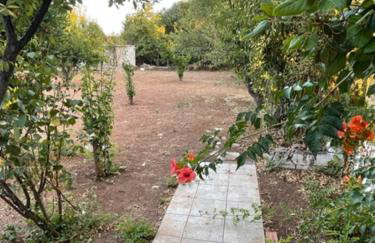 Cosy spot near the beach only 45 min from Athens - Foto 14