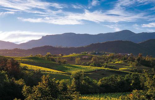 La Valle dei Laghi - Foto 48