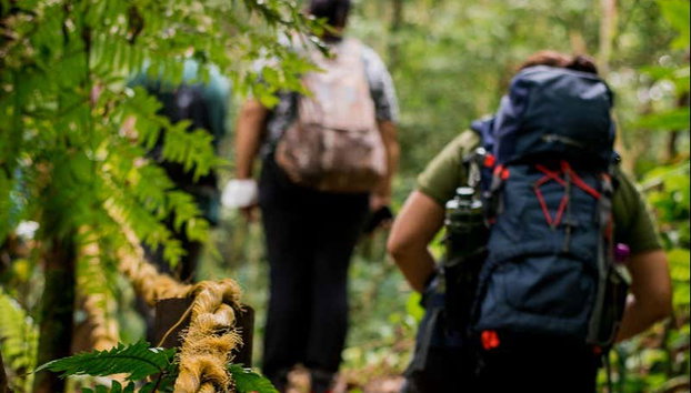 Guaratuba Waterfall Hiking Tour - Photo 2, During the Guaratuba waterfall hiking tour