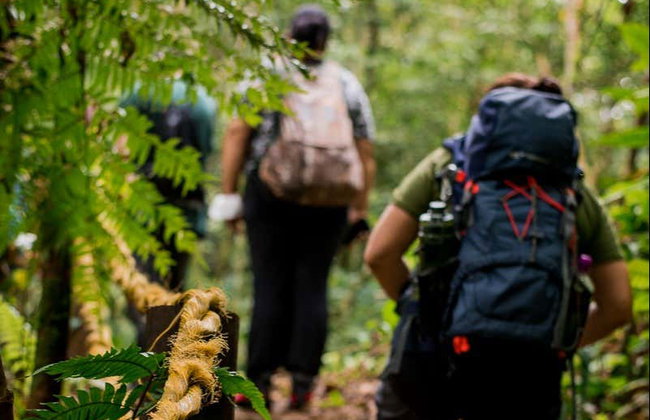 Senderismo hasta la cascada de Guaratuba - Foto 2