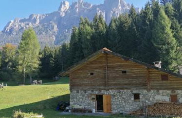 Baita Pra Petina Pale di San Martino - Photo 38