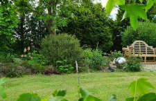 Sowi Dworek - Foto 13