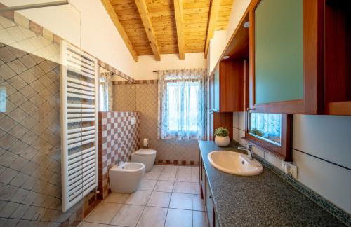 GATTO IN VIGNA - Foto 16