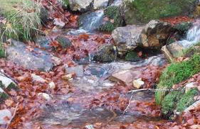 Apartamentos Monte Hernanz - Foto 55