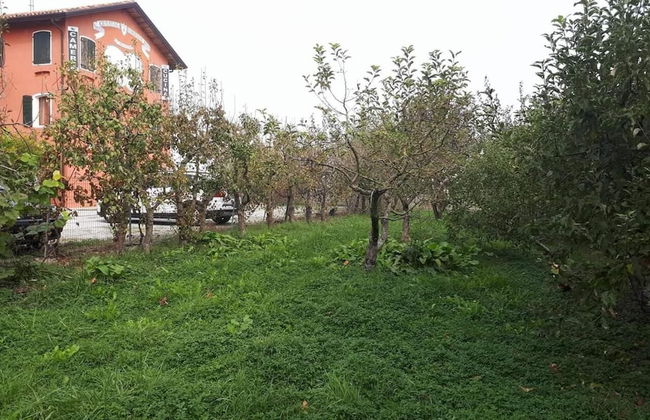 Agriturismo Quadrifoglio Relax - Foto 40