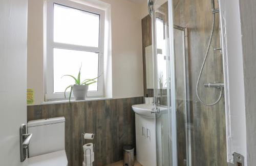 Little Ireland - Photo 24