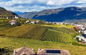 Weingut Gasshof - Foto 26