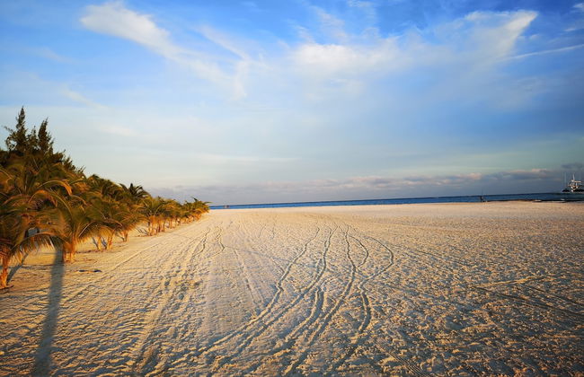 Soul fase 2 - Foto 24