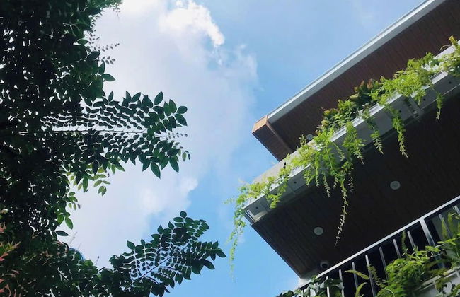 The Eudora Homestay - Photo 66