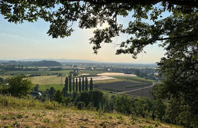 Uitzicht op het Zwembad - Foto 20