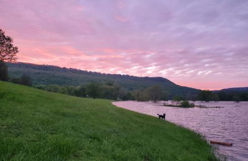 Fryars' Green at Tennessee RiverPlace - Foto 77