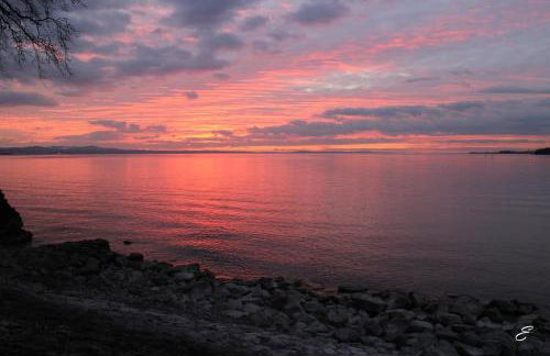 Bio-Ferienwohnung Ellensohn - Foto 15