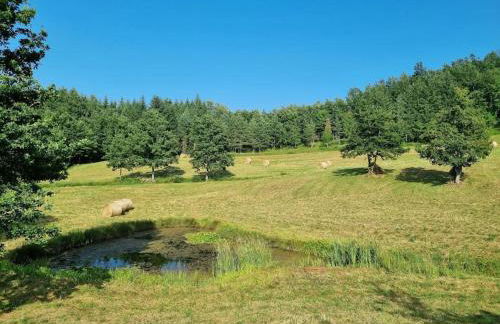 Oasi di pace nella Val di Taro - Photo 22