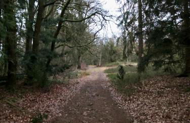 Haus Sonnenschein - Foto 13