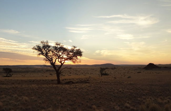 Desert Camp - Foto 32