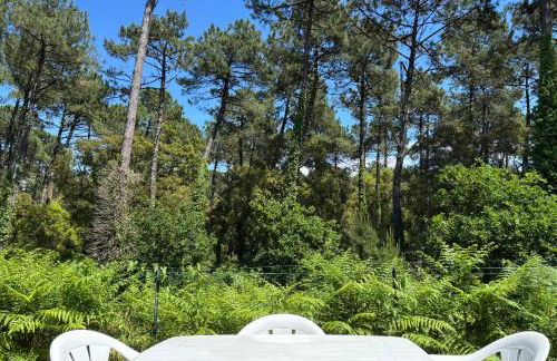 Bluegreen Appartement - Foto 21