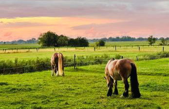 Tiny House nah am Nationalpark - Foto 24