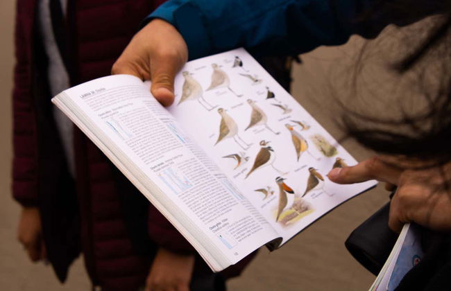 Birdwatching + Kayaking Tour - Photo 7