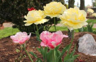 The Carriage House on Slope Hill - Foto 34