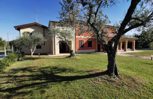 La Casina di Ely - Foto 26