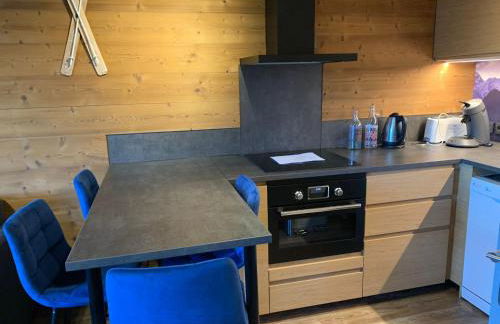 T1 La marmotte Saint Sorlin d'Arves - Photo 29