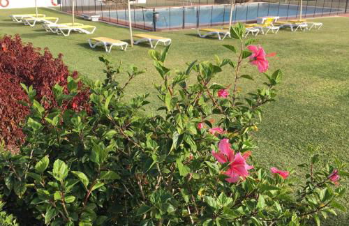 Estudio a 10 minutos del Puerto Banus - Photo 36