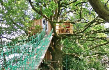 Le nid dans le chêne - Photo 45