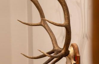 Homestead Villa - HotTub & Sauna Retreat - Foto 22