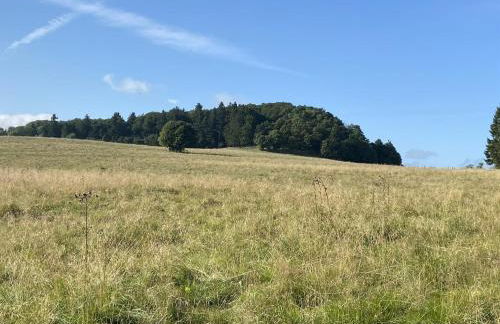 Ferienwohnung Natur-Pur - Photo 12