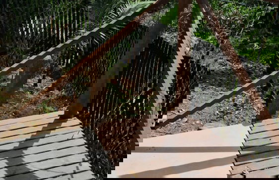 Sitio Cantinho Vovó Cida e Vovô Nilson - Foto 49