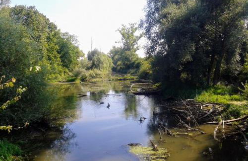 70qm Wohnung, 76771 Hördt, Naturschutzgebiet, Rheinland-Pfalz - Foto 24