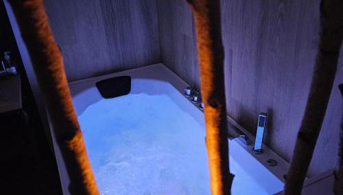 Les Cocons d AleXan Le studio balnéo aromathérapie - Foto 5