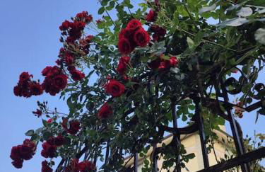 Ca' della Sfinge Colibrì a Civiasco - Foto 1