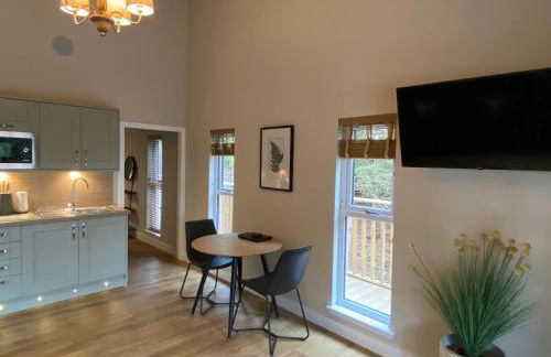 Holly Berry Lodge with Hot Tub - Foto 28