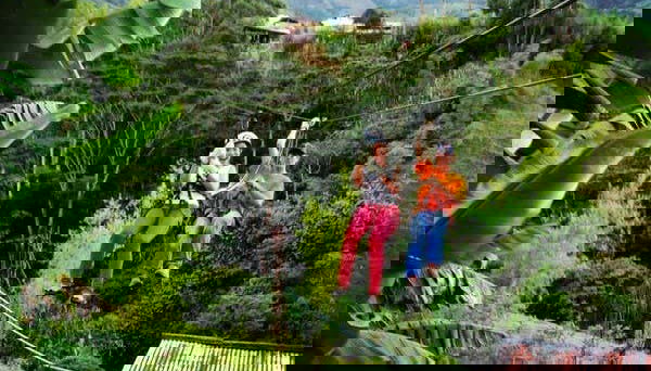 Tour in Jardín - Foto 4