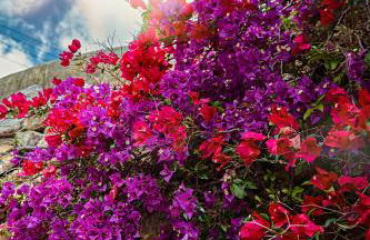 Casa Jasmin at Masia Nur Sitges, Adults only - Foto 40