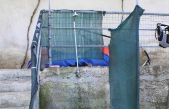 Apartments by the sea Tri Zala, Korcula - 9237 - Foto 15