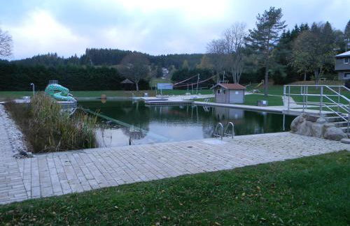 Schönwald Schwarzwaldhäuser Apartment 7 - Foto 22