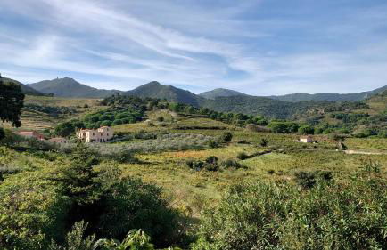 4SOM5- Appartement T2 avec jolie vue sur les collines - Foto 13