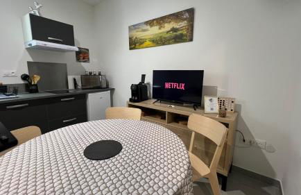 Appartement T2 40 M2 cosy RDC plein centre ville - Foto 25