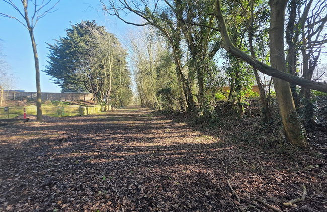 Lighthouse Lodge - Dog Friendly Nr Sutton on Sea - Photo 20