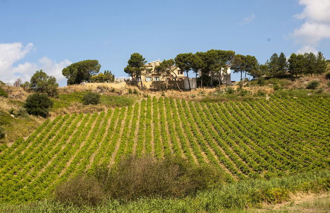 Feudo del Biviere - Foto 32