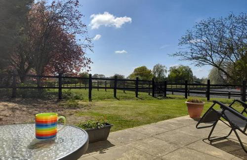 The Paddocks - Foto 18