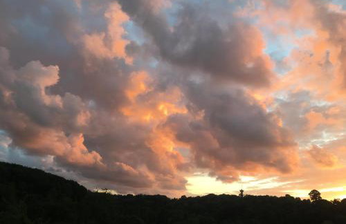 Domaine Rêve Normand Honfleur 10 pax - Foto 43